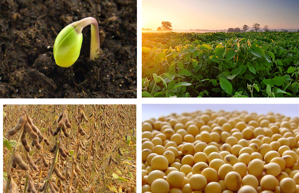 1553692437716113.jpg 9527.jpg