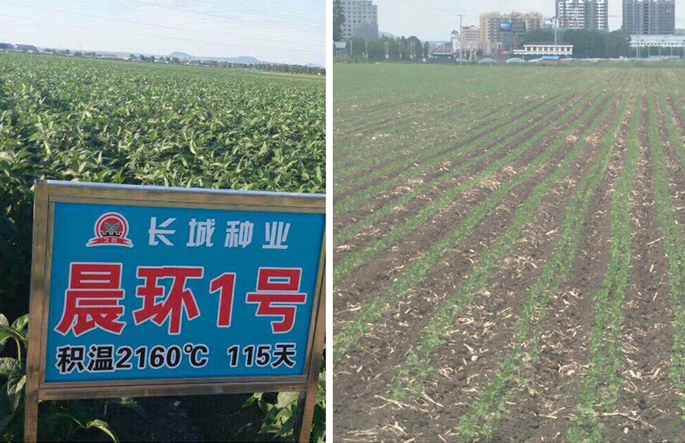 1553749514265860.jpg 0101.jpg