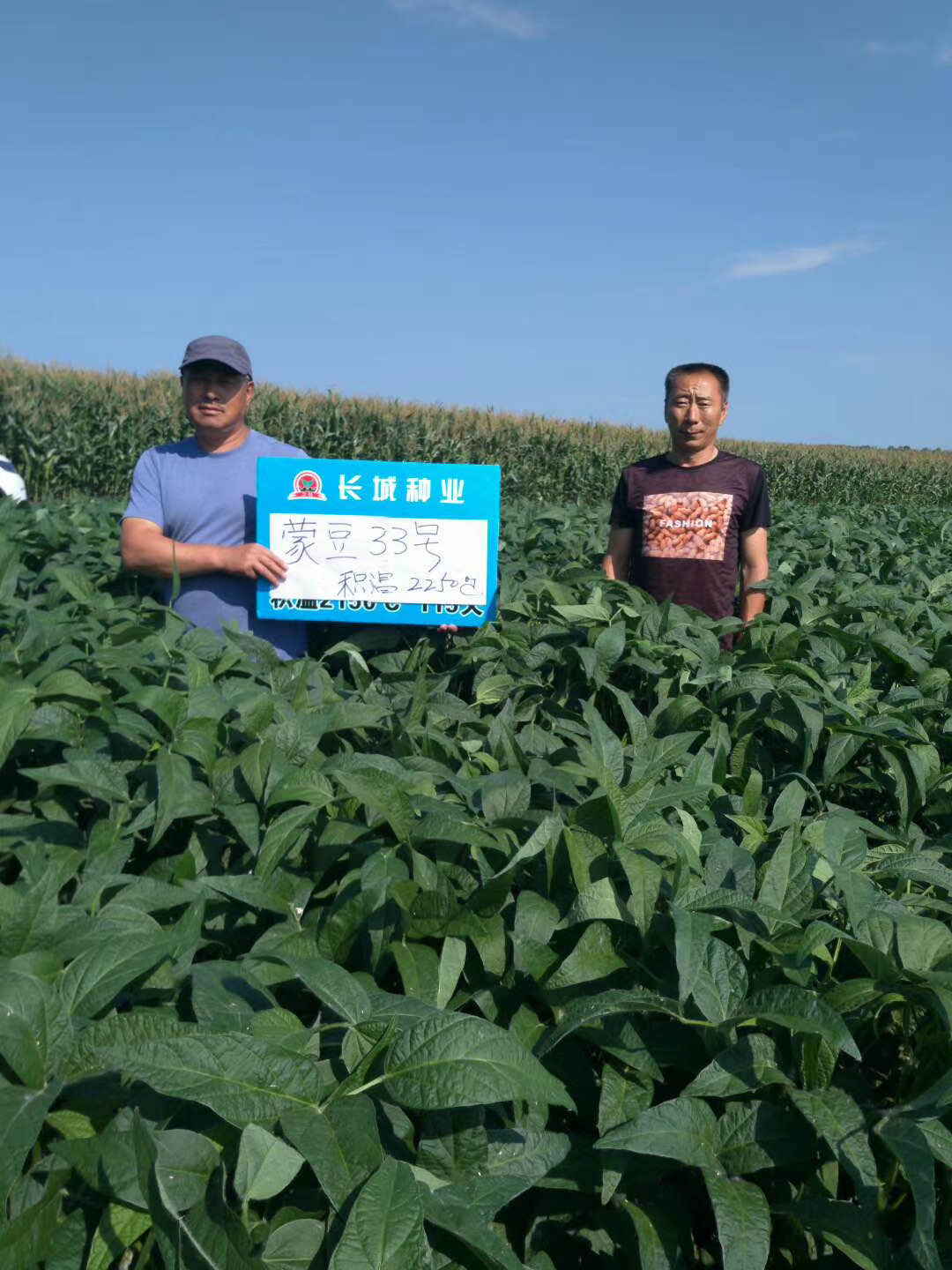 1600397060669611.jpg mmexport1600236684291.jpg